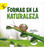 Formas en la naturaleza (Shapes in Nature) (Spanish Edition) by Santiago Ochoa, Pete  Jenkins, 9781731604934 Formas en la naturaleza (Shapes in Nature) (Spanish Edition) by Santiago Ochoa, Pete  Jenkins, 9781731604934