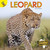 Leopard - 9781731605610 by Lisa  Jackson, 9781731605610