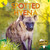 Spotted Hyena - 9781731605627 by Lisa  Jackson, 9781731605627