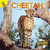 Cheetah - 9781731605634 by Lisa  Jackson, 9781731605634