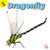 Dragonfly - 9781731605801 by J.  Jean Robertson, 9781731605801