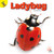 Ladybug - 9781731605818 by J.  Jean Robertson, 9781731605818