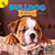 Bulldog Puppies - 9781731628626 by Hailey Scragg, 9781731628626