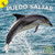 Puedo saltar (Spanish Edition) by Marla Conn, Alma Patricia Ramirez, 9781731648440 Puedo saltar (Spanish Edition) by Marla Conn, Alma Patricia Ramirez, 9781731648440
