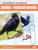 Animal Problem Solving by Michelle Garcia Andersen, 9781731648860