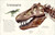 Antología de dinosaurios y vida prehistórica (Dinosaurs and Other Prehistoric Life) (Spanish Edition) by Professor Anusuya Chinsamy-Turan, 9780744064391
