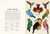 Animalium (Welcome to the Museum) by Jenny Broom, Katie Scott, 9780763675080