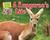A Kangaroo's Life - 9781642807325 by Ellen Lawrence, 9781642807325