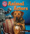 Animal Actors by Katie Clark, 9781617728976