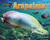 Arapaima by Ellen Lawrence, 9781642807424