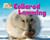 Collared Lemming by Dee Phillips, 9781642807561