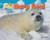 Harp Seal - 9781642808513 by Dee Phillips, 9781642808513