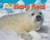 Harp Seal - 9781642808513 by Dee Phillips