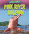 Pink River Dolphin by Jenna Grodzicki, 9798885091114