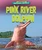 Pink River Dolphin - 9798885091183 by Jenna Grodzicki, 9798885091183