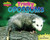 Tricky Opossums by Catherine Nichols, 9781597167185