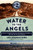 Water to the Angels (William Mulholland, His Monumental Aqueduct, and the Rise of Los Angeles) by Les Standiford, 9780062251428