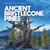 Ancient Bristlecone Pines by Mary Griffin, 9781538386477