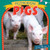 Prizewinning Pigs - 9781538386330 by Nancy Greenwood, 9781538386330