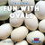 Fun with Ovals - 9781538385456 by Bert Wilberforce, 9781538385456