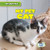 My Pet Cat - 9781538280911 by Nancy Greenwood, 9781538280911