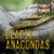 Deadly Anacondas by Monika Davies, 9781538279731