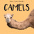 Camels - 9781538279410 by Beth Gottlieb, 9781538279410