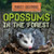 Opossums in the Forest by Sophie Washburne, 9781538279175