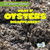 What If Oysters Disappeared? by Anthony Ardely, 9781538276372