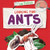 Looking for Ants - 9781534541139 by Emilie Dufresne, 9781534541139