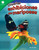 Diseñar exhibiciones de mariposas (Spanish Edition) by Nicole Sipe, 9781087625263