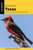 Birding Texas by Randi Minetor, Nic Minetor, 9781493072422