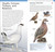 AMNH Pocket Birds of North America Eastern Region by DK, 9780744074130