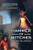 Hammer of Witches by Seth Mlawski, 9781600609879