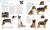 The Dog Encyclopedia by DK, 9780744073706