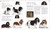 The Dog Encyclopedia by DK, 9780744073706