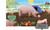 I Love My Farm (A Pop-Up Book About Animals on the Farm) by DK, 9780744069952