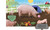 I Love My Farm (A Pop-Up Book About Animals on the Farm) by DK, 9780744069952