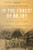 In the Forest of No Joy (The Congo-Océan Railroad and the Tragedy of French Colonialism) - 9781324050353 by J. P. Daughton, 9781324050353