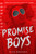 Promise Boys by Nick Brooks, 9781250866974