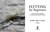 Flytying for Beginners (Learn All the Basic Tying Skills via 12 Popular International Fly Patterns) by Barry Ord Clarke, 9781510770461