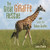 The Great Giraffe Rescue (Saving the Nubian Giraffes) by Sandra Markle, 9781728443218