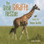 The Great Giraffe Rescue (Saving the Nubian Giraffes) by Sandra Markle, 9781728443218