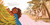 Plátanos Are Love by Alyssa Reynoso-Morris, Mariyah Rahman, 9781665902731