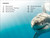 DK Super Readers Level 4 Shark Attack - 9780744067552 by Cathy East Dubowski