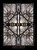 Son of Man (Retelling the Stories of Jesus) by Charles Martin, 9781400333523