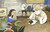 Joan Procter, Dragon Doctor (The Woman Who Loved Reptiles) - 9780593568859 by Patricia Valdez, Felicita Sala