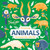 Amazing Animals Around the World by DGPH Stufio, 9780593522318