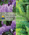 Flowering and Nonflowering Plants Explained - 9781502621795 by Laura Sullivan, 9781502621795