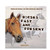 Horses: Past and Present by Marianne Johnston, 9780823952076